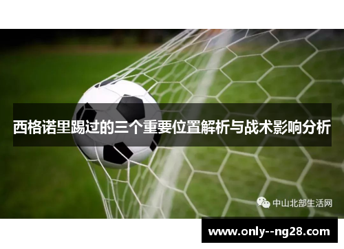 西格诺里踢过的三个重要位置解析与战术影响分析