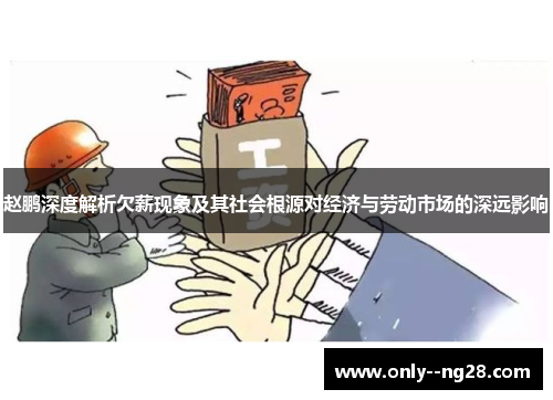赵鹏深度解析欠薪现象及其社会根源对经济与劳动市场的深远影响
