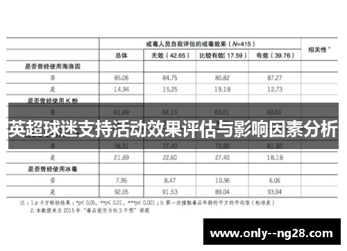 英超球迷支持活动效果评估与影响因素分析