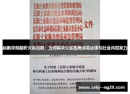 赵鹏深刻剖析欠薪问题：为何解决欠薪困局亟需法律与社会共同发力