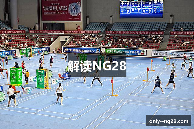 解读NG28